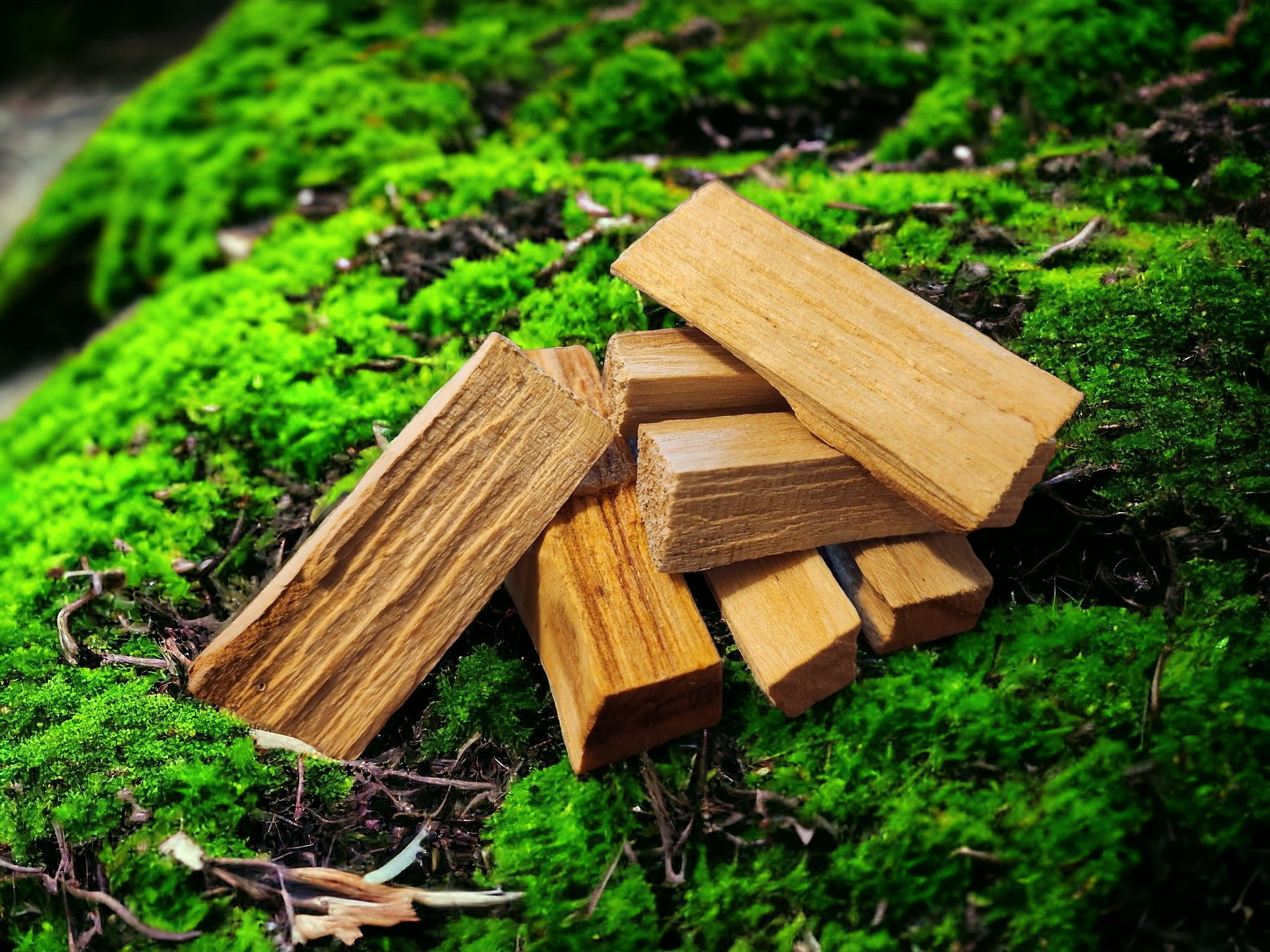 Palo Santo AKA Holy Wood for clearing negative energies