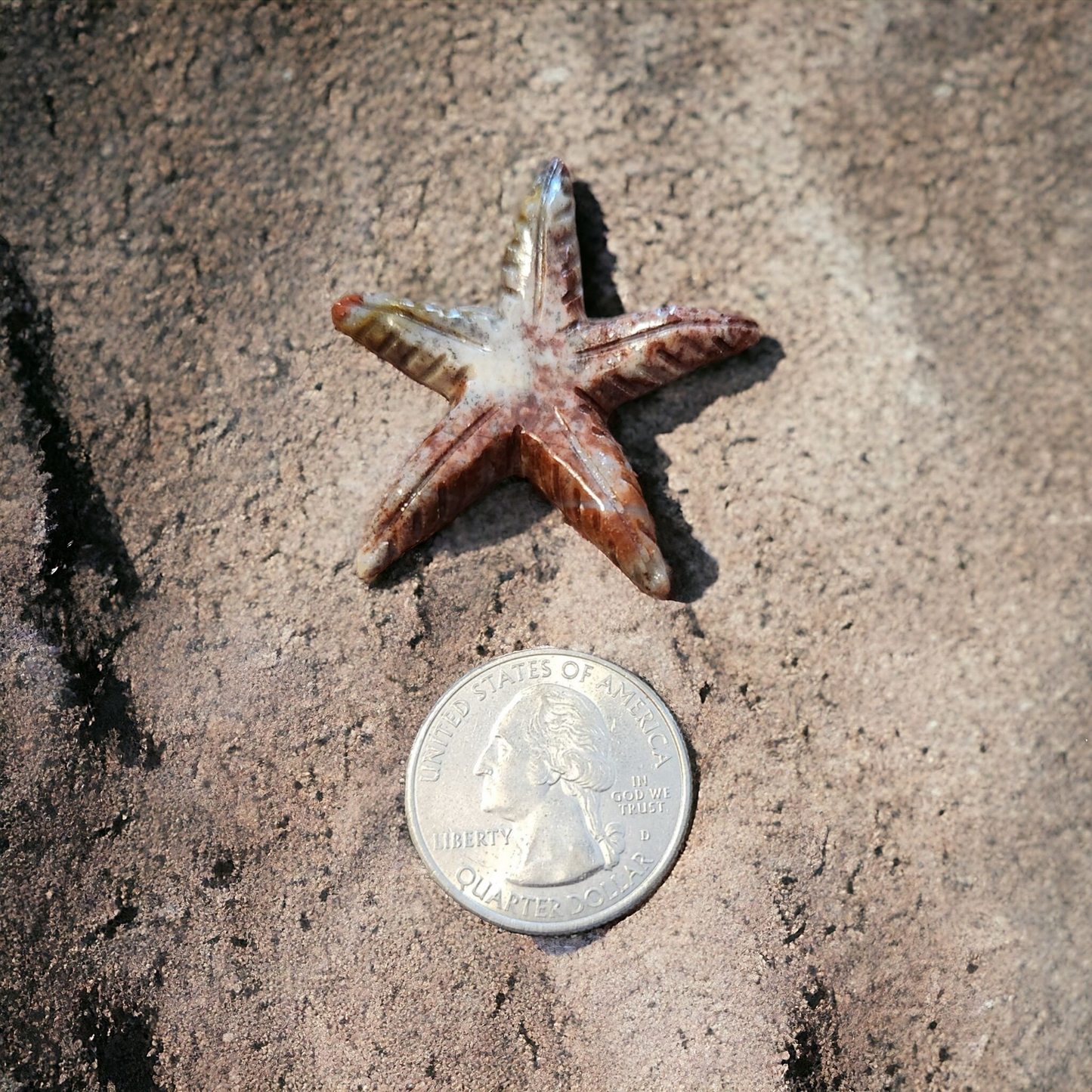 Starfish Soapstone Mini Carving