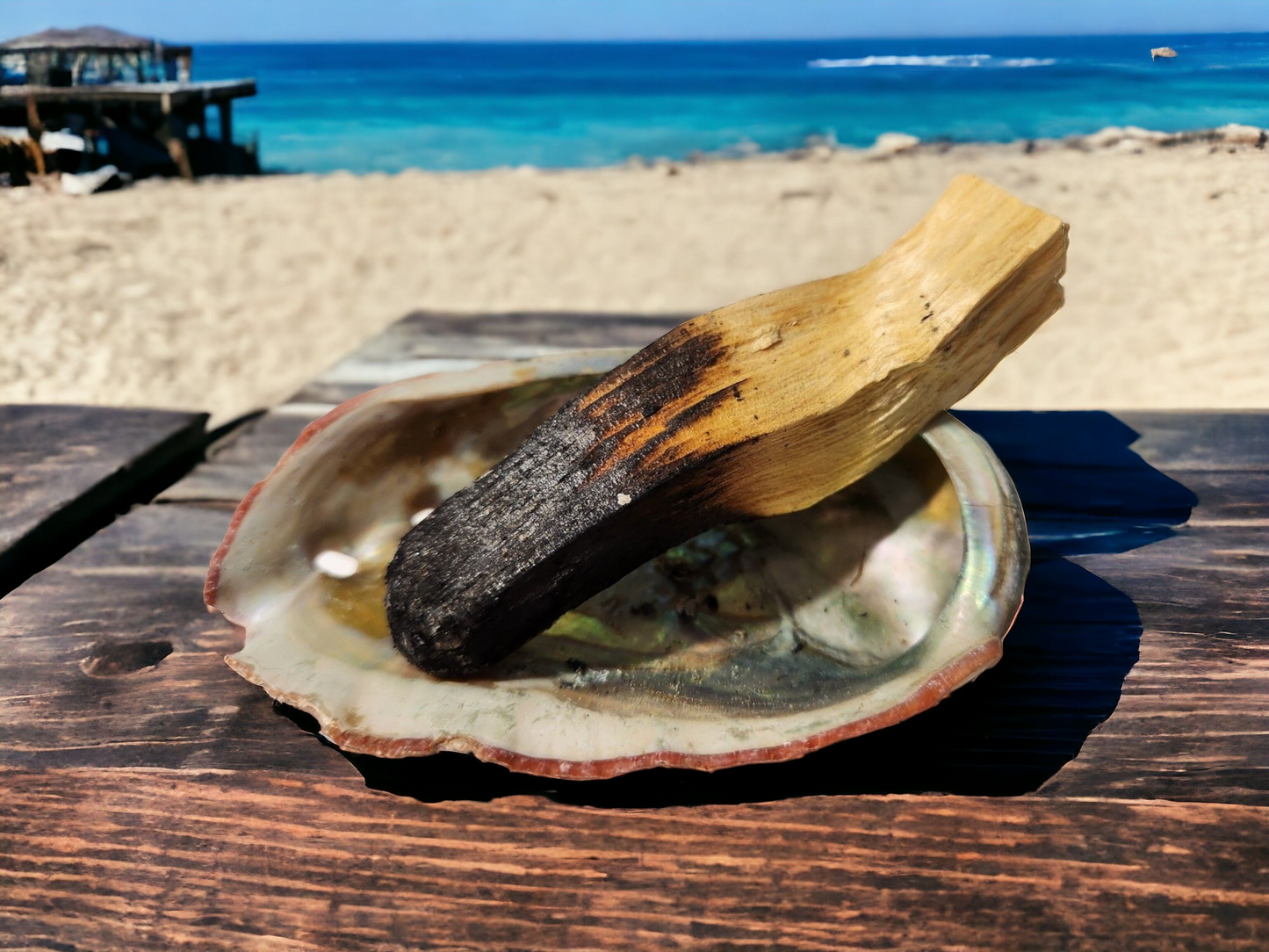 Abalone Shell for smudging