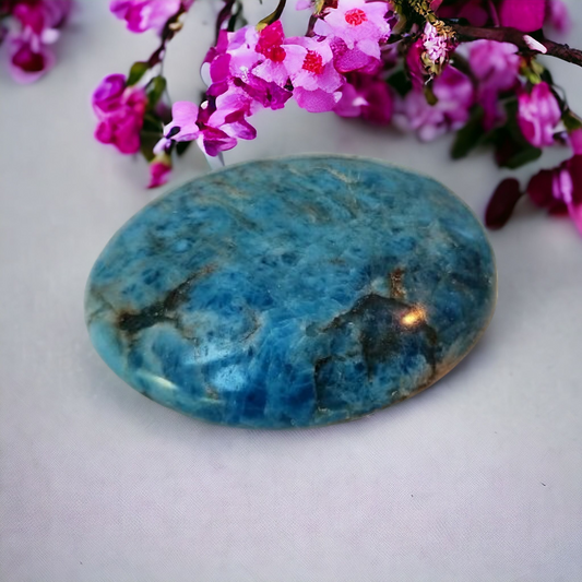 Apatite Palm Stone for wisdom