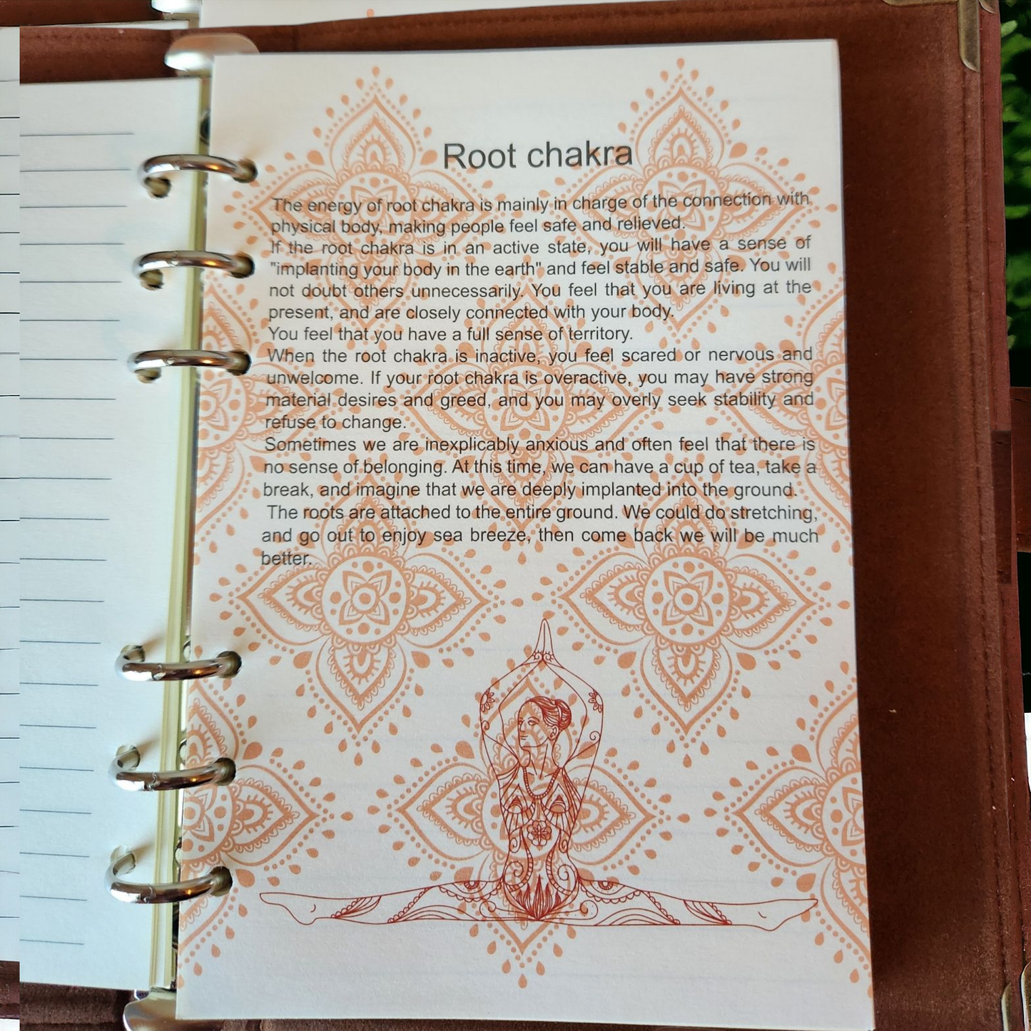 Chakra Journal