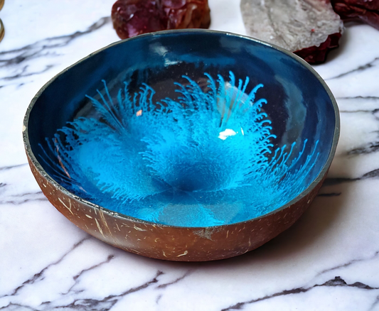 Coconut Bowl for transformation (More options available)