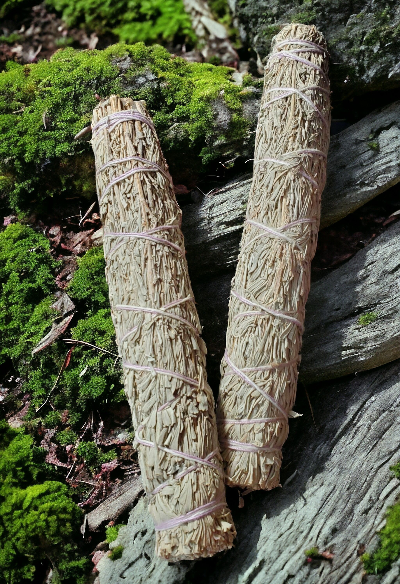 Lavender Sage for smudging