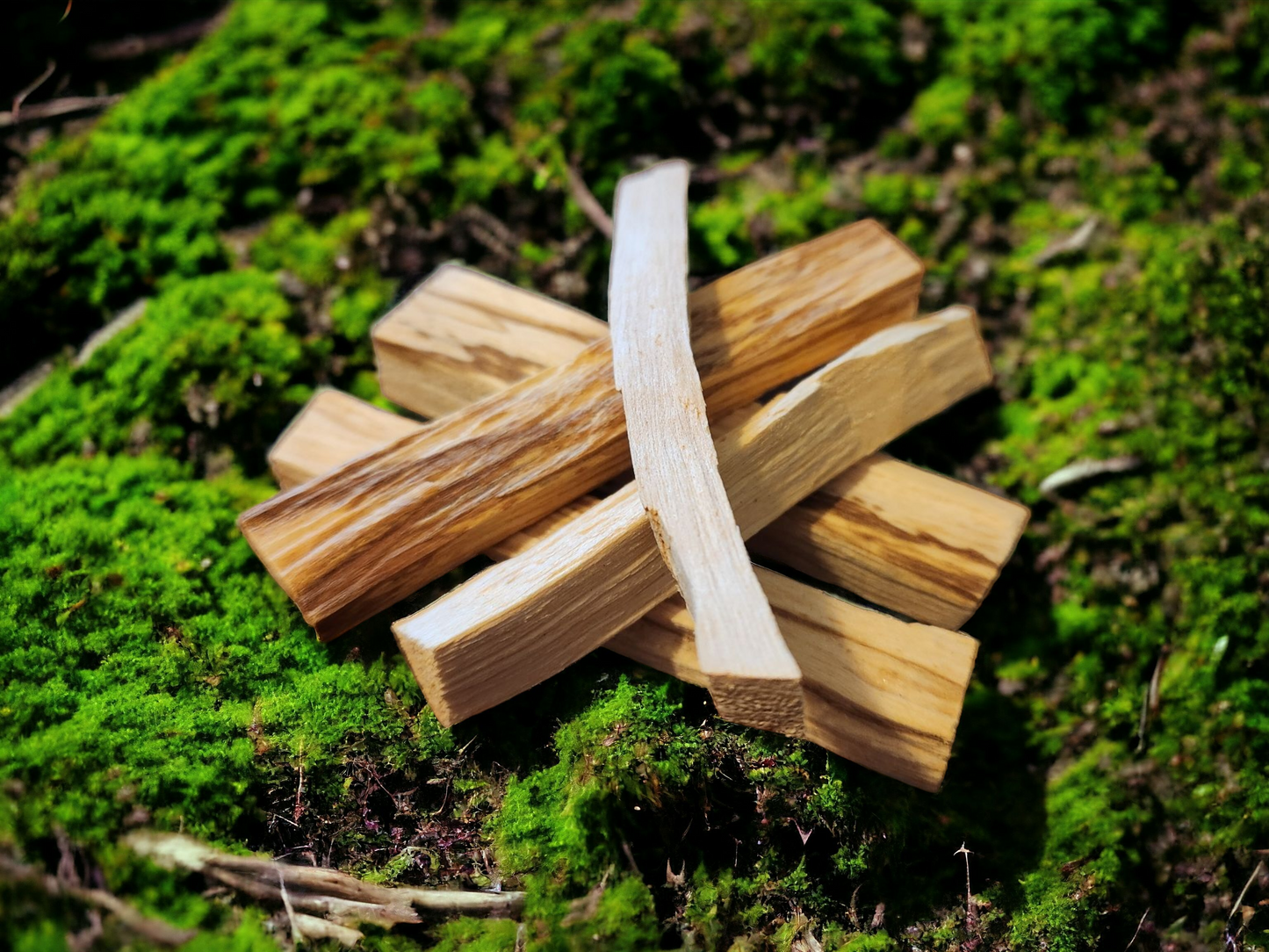 Palo Santo AKA Holy Wood for clearing negative energies