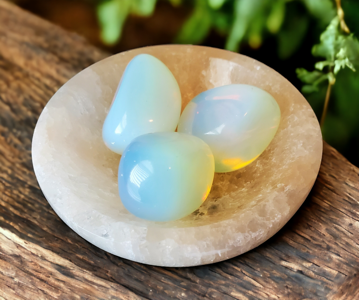 Peach Selenite Bowl for cleansing & charging