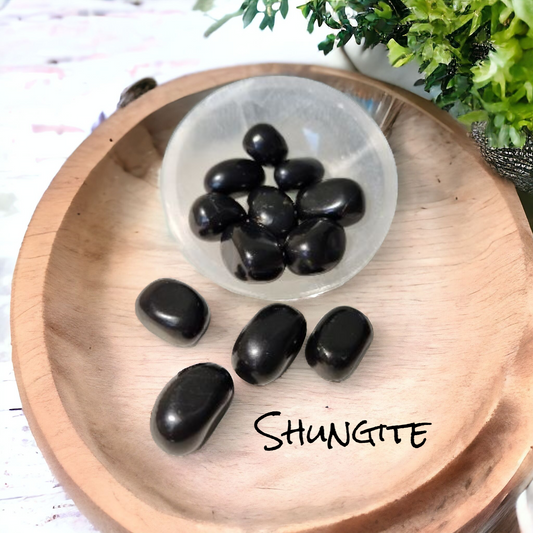 Shungite for EMF protection & health