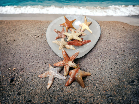 Starfish Soapstone Mini Carving